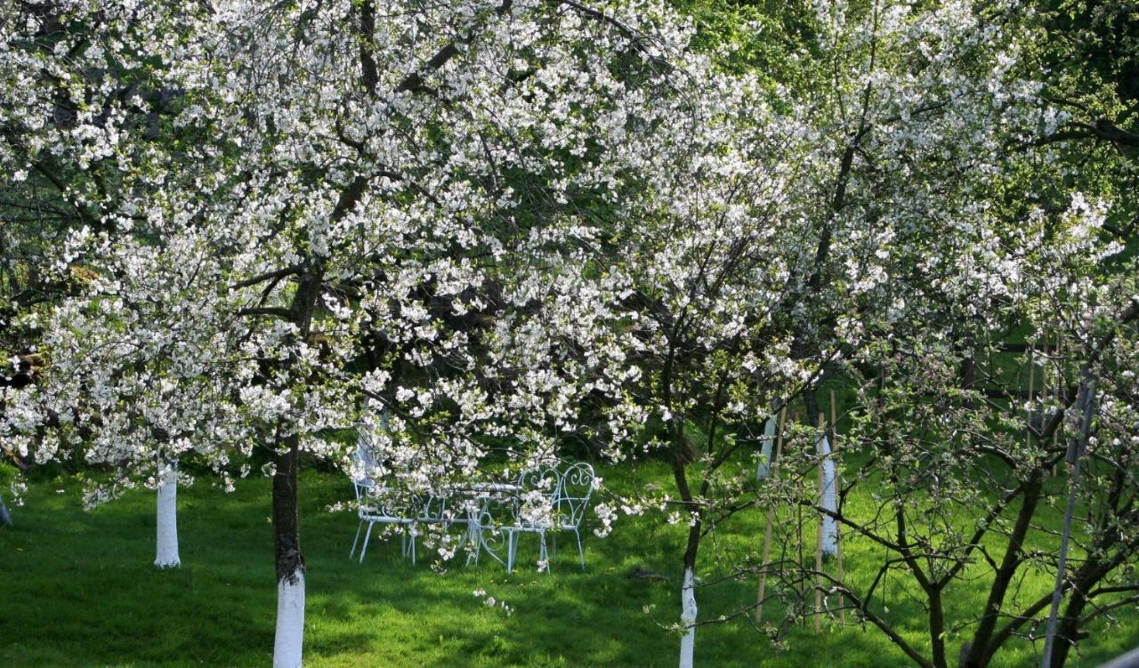 Lavendowo Hotel Piechowice Kültér fotó