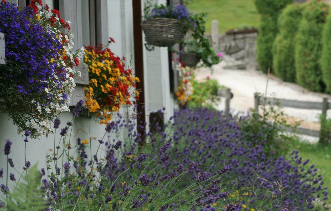 Lavendowo Hotel Piechowice Kültér fotó